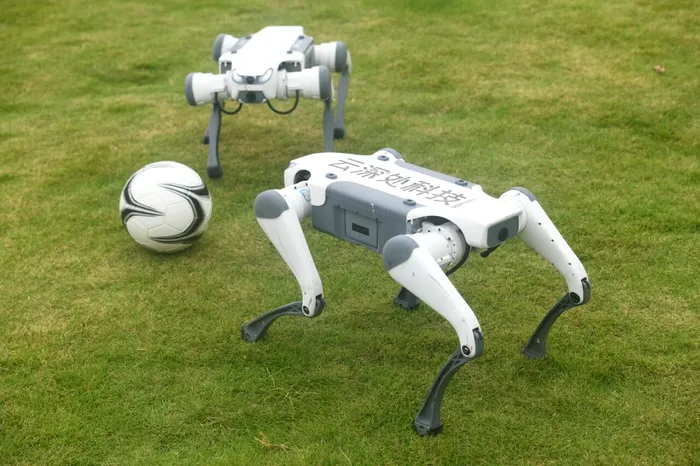 Robo-câinii joacă fotbal în orașul Hangzhou - 19 octombrie 2025 