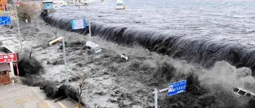 UNESCO testează capacitatea de reacție la tsunami în 20 de țări, inclusiv în România