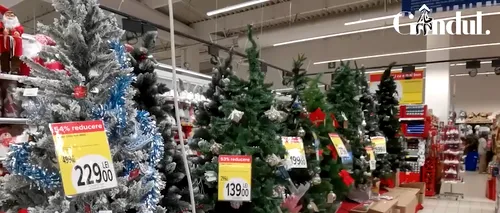 VIDEO | Se apropie Crăciunul și marile magazine se întrec în oferte pentru produsele de sezon. Află prețurile afișate în patru dintre ele