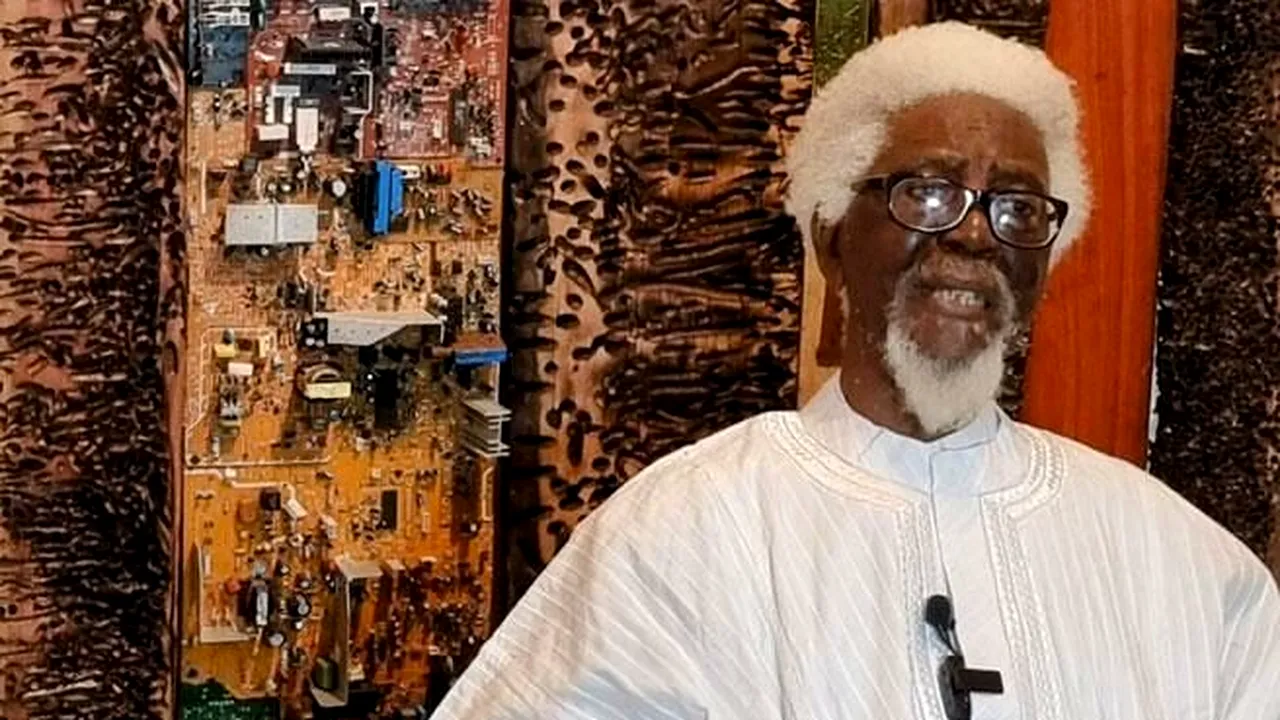 Demas Nwoko, recompensat cu Leul de Aur la Bienala de Arhitectură de la Veneția 2023