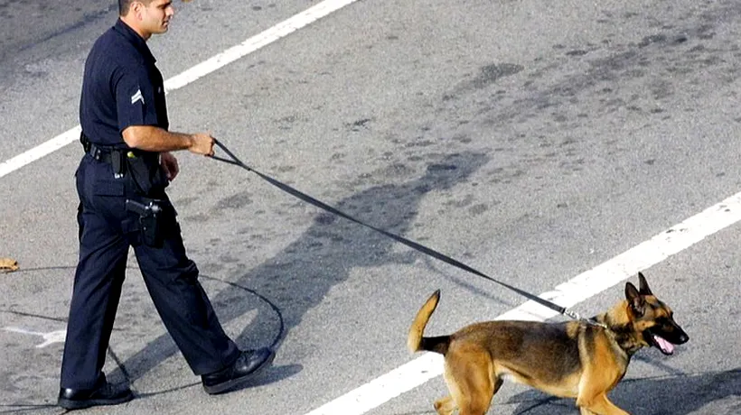 Câinii-polițiști din Los Angeles, antrenați să muște doar afro-americani și latino-americani