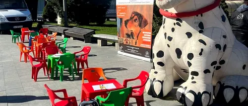 FOTO: Târg de adopții canine în centrul Craiovei. „A dat din coadă când ne-a văzut. A fost motivul pentru care l-am luat acasă”