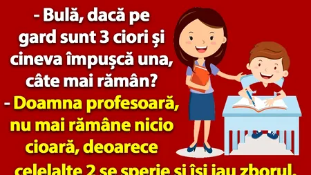 BANC | „Bulă, dacă pe gard sunt 3 ciori și cineva împușcă una, câte mai rămân?”