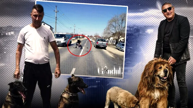 Bărbatul măcelărit la Crevedia antrena câini pentru unul dintre cei mai temuți lideri interlopi. Dulăii păzeau balta lui Petre Geamănu