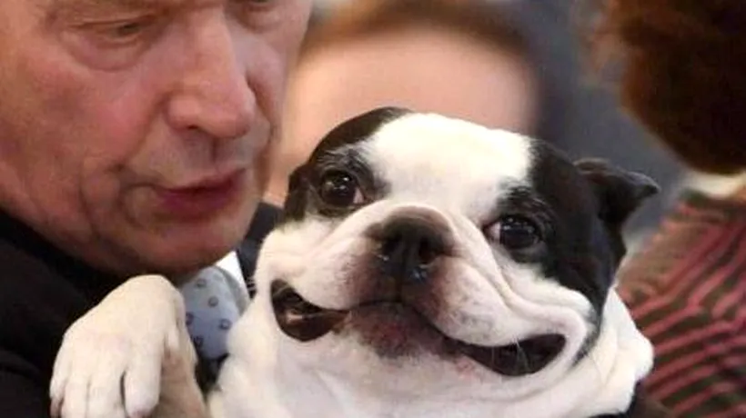 Câinele președintelui Finlandei face furori pe internet. Poza care a stârnit hohote de râs