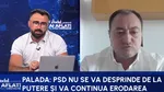 Mirel Palada, despre o posibilă schimbare a conducerii AUR: „Unii spun că este o victorie remarcabilă faptul că au obținut atât de multe voturi”