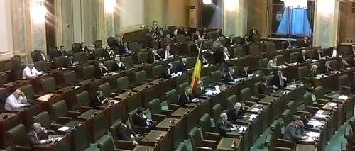 Senatoarea Cristiana Anghel, lovită în plenul Senatului de un steag făcut cadou de Ilie Năstase