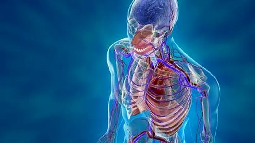 Descoperirea revoluționară a oamenilor de știință: un nou organ în corpul uman