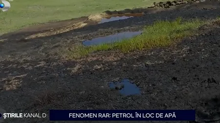 Un fenomen rar în România și în Europa se întâmplă în satul Beciu, Buzău: petrolul iese din pământ, în loc de apă