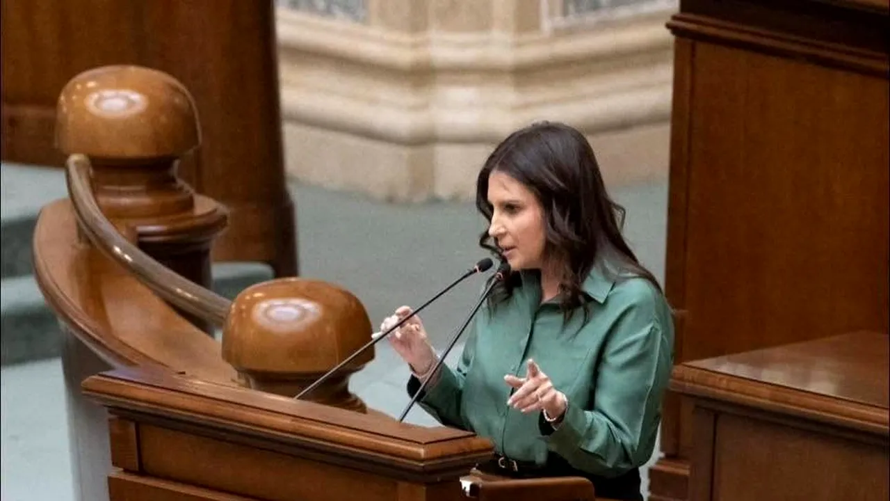 Un senator PNL spune care ar fi cele 2 variante, după ce Guvernul Veștea nu a trecut în Parlament: „România are nevoie de decizii asumate”