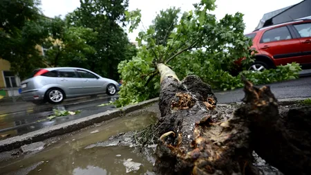 VREMEA. Cod galben de furtună în Covasna, Harghita și Cluj