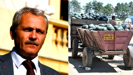 Big Brother pentru pepenii din Dăbuleni, finanțat din bani europeni. Pentru cine și pentru ce a împărțit Liviu Dragnea 70 de milioane euro din fonduri UE