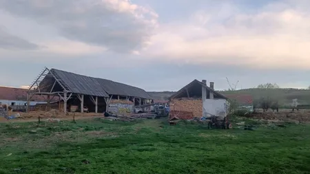 Caz de SCLAVIE la două stâne din Brașov. Minor ținut într-o cușcă și obligat să muncească de ciobani