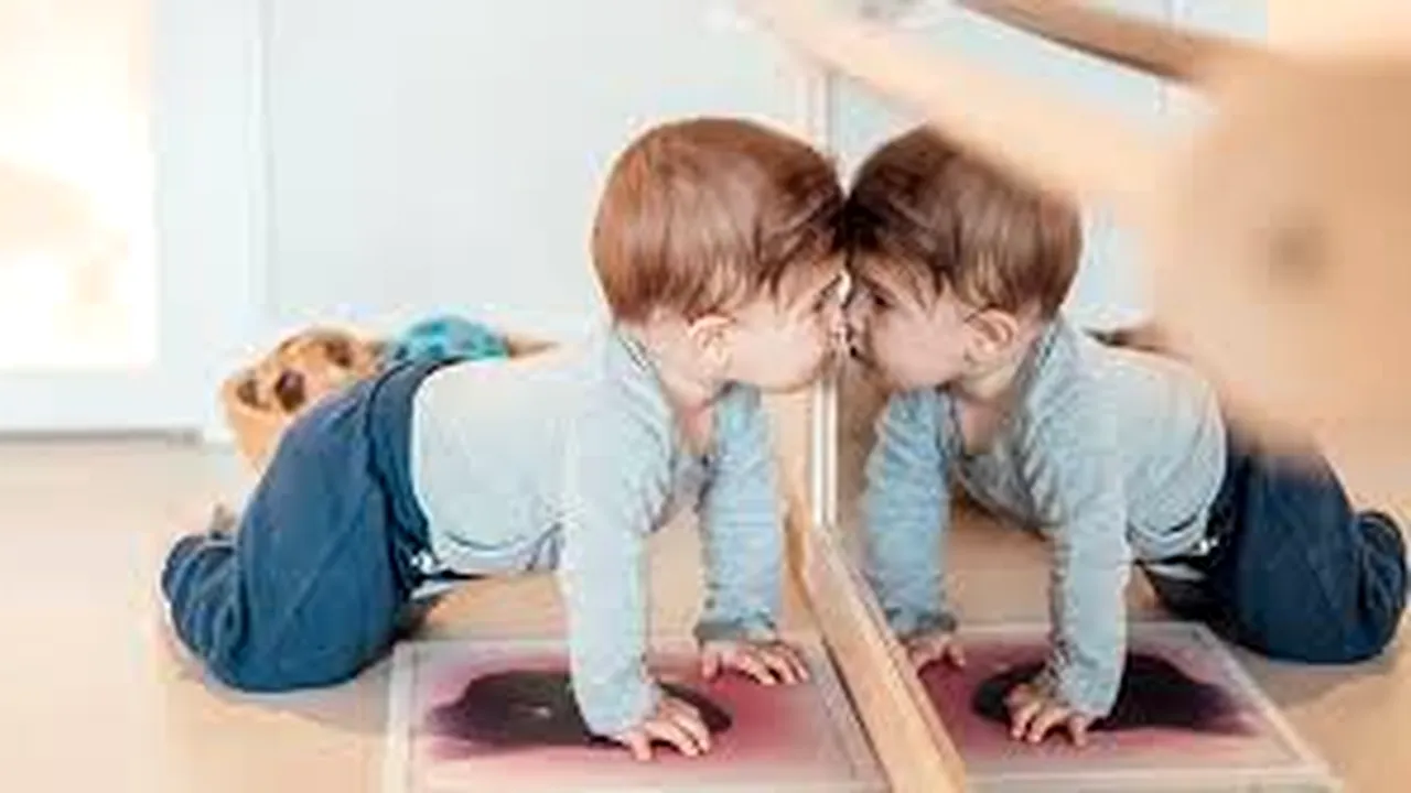 INEDIT. Proiectul de modificare a Legii Educației propune schimbări în ceea ce privește grădinițele. Proiectul prevede posibilitatea funcționării grădinițelor pe timp de noapte