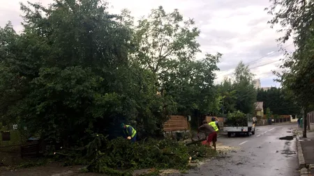 Furtuna a făcut ravagii în întreaga țară. Pagube majore în mai multe județe din cauza vântului puternic. FOTO