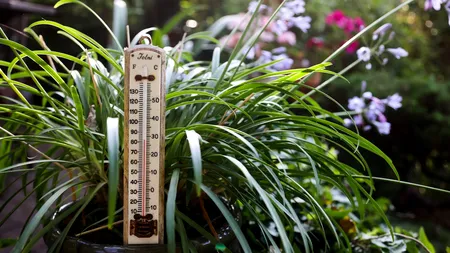 ANM a dat prognoza pentru iulie, luna „lui Cuptor”. Ce temperaturi ne așteaptă în cea mai călduroasă lună din an