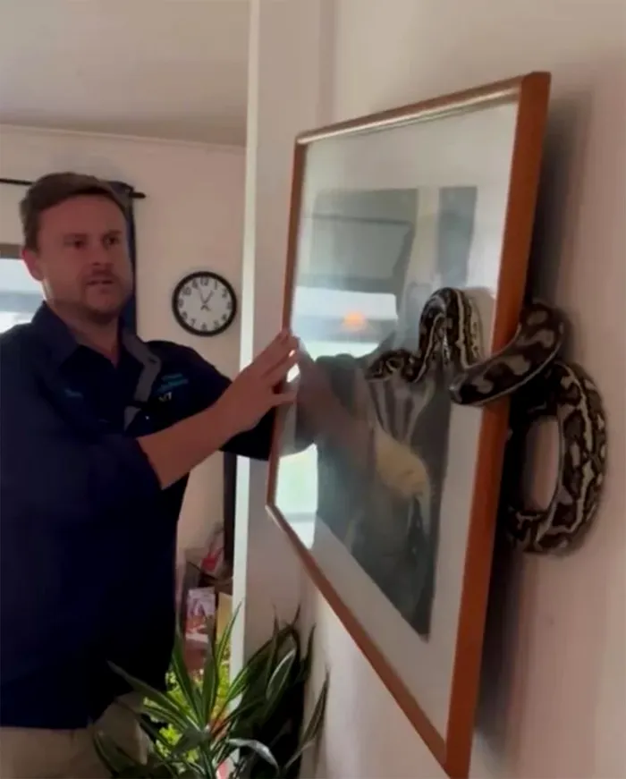 Acest bărbat a observat că tabloul din sufragerie e înclinat. Când l-a dat la o parte și a văzut motivul, a încremenit