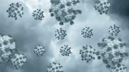 Virusul de care nu scapi niciodată. Peste 95% din populația adultă a lumii îl are în organism. Ce arată un studiu