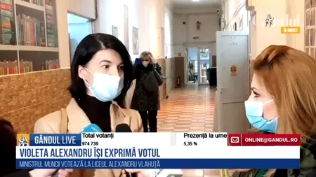 ALEGERI PARLAMENTARE 2020. Violeta Alexandru, ministrul Muncii: „Cu siguranță pensiile vor crește” / Mesajul pentru diaspora