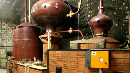 Parfum de campanie, distilat din oasele morților