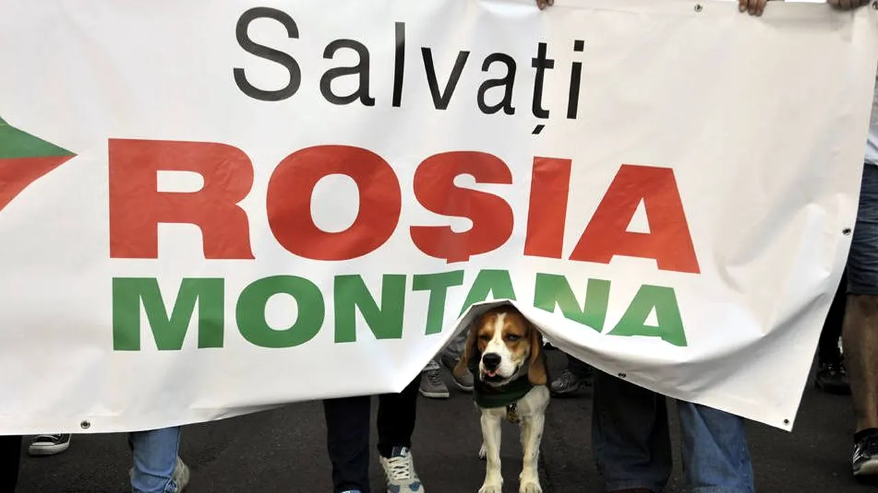 Mediafax ZOOM. Protestele lunii septembrie