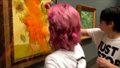 VIDEO Una dintre cele mai faimoase lucrări semnate de van Gogh a fost vandalizată. Doi activiști de mediu au aruncat cu supă de roșii pe tabloul „Floarea soarelui”