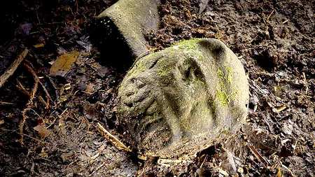 Descoperire unică a cercetătorilor: cea mai veche brățară din lume NU a fost realizază de strămoșii cunoscuți ai oamenilor, ci de o altă creatură controversată