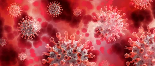 BILANȚ. 320 de infectări cu SARS-CoV-2 în ultimele 24 ore! 23.080 de cazuri de îmbolnăvire, confirmate în România