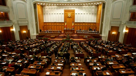 PNL cere PSD să se sinucidă cu voturile din dotare