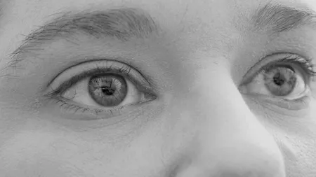 De ce are nasul uman forma actuală