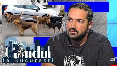 Tudor Tim – Ionescu: Cei care își țin câinii fără lesă pe stradă ar trebui amendați | VIDEO EXCLUSIV
