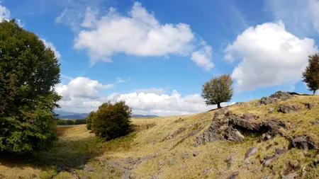 Județul care a raportat un nou singur caz cu Covid-19 în ultimele 24 de ore și nu a înregistrat niciun alt caz în urma retestării pacienților care erau deja pozitivi