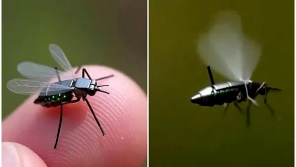 China a dezvoltat o micro-dronă de mărimea unui țânțar pentru misiuni de recunoaștere militară
