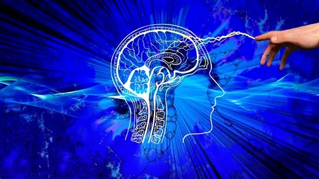 Creierul uman, grav afectat de Covid. Medicii trag un semnal de alarmă fără precedent: „Îmbătrânește cu zece ani”