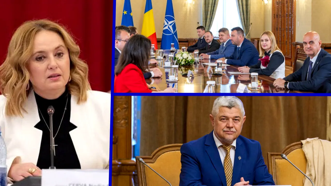 Senatorul Cosmina Cerva a părăsit PACE şi acuză grupul de negocieri ascunse şi şantaje. Formaţiunea se dizolvă şi se reînfiinţează ca partid