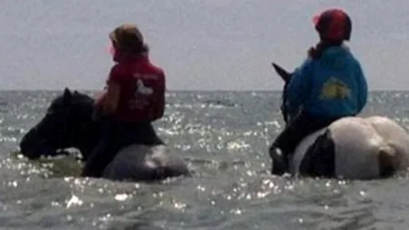 Ce a pățit o adolescentă care a intrat cu calul în mare