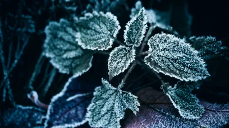 Ger și MINUS 15 grade. Meteorologii au anunțat că temperaturile vor scădea și mai mult