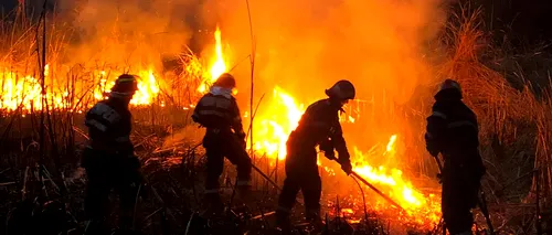 Incendiu de vegetație în Tulcea. În zonă nu se poate interveni cu autospecialele de stingere