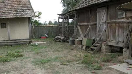 Polițiștii au intrat în curtea unui bătrân din Suceava. Ce au găsit într-o anexă a gospodăriei i-a uimit