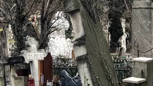 Oana Pellea, după o vizită la Cimitirul Bellu: „Niciodată nu am văzut asemenea dezastru. Ce Rușine!” / FOTO