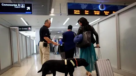 Va plăti 90.000 de dolari pentru o glumă