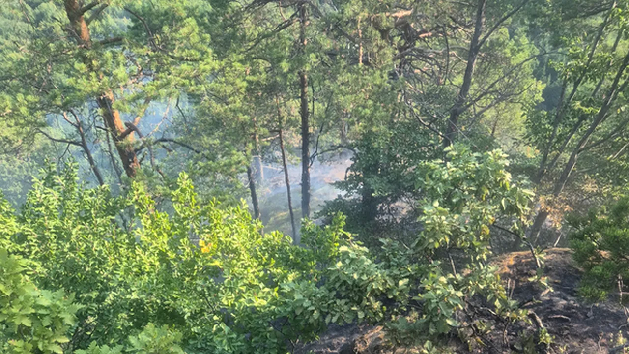 ARDE o pădure din Băile Olănești. Pompierii din Vâlcea nu pot ajunge cu autospecialele pe munte, fiind solicitat în ajutor un elicopter din București