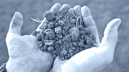 Social-democrații le transmit liberalilor că e nevoie de fapte, nu de vorbe: ”Trebuie să trimitem acasă acest guvern-dezastru”