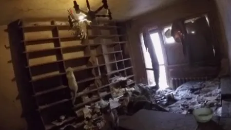 Imagini incredibile într-o garsonieră din București unde o bătrână locuia alături de 29 de pisici 