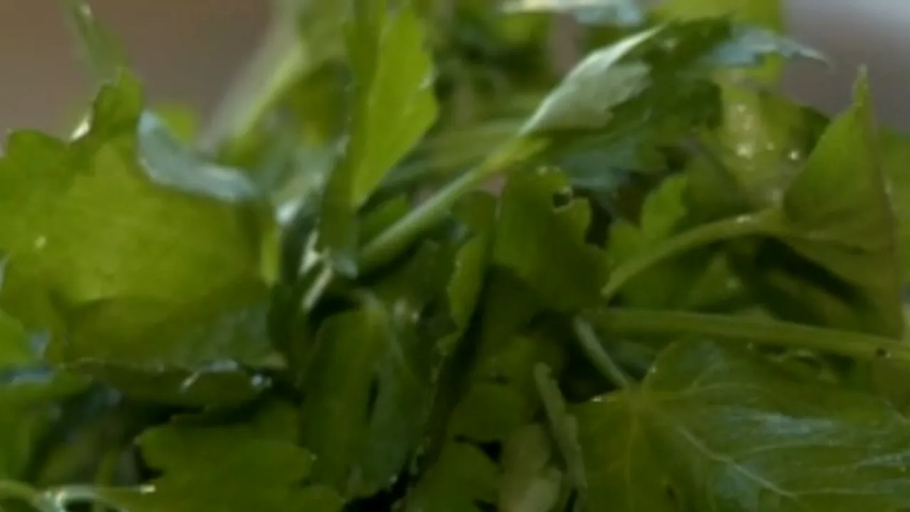 Pătrunjelul, o opțiune bună pentru sezonul rece. Cum se face salata de pătrunjel. VIDEO
