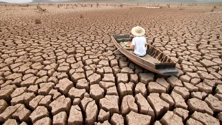 Aproape 14.000 de oameni de știință atrag atenția că Pământul își pierde „funcțiile vitale”