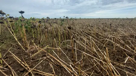 ALERTĂ! Furtunile din Dobrogea dau peste cap sistemul energetic național. Atomocentrala Cernavodă s-a deconenctat. Eolienele vor fi oprite
