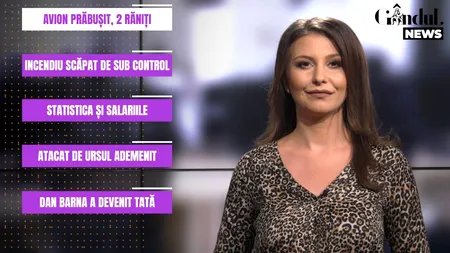 GÂNDUL NEWS. Doi răniți în urma unui accident aviatic. Un avion s-a prăbușit  pe un câmp, în apropiere de Chitila