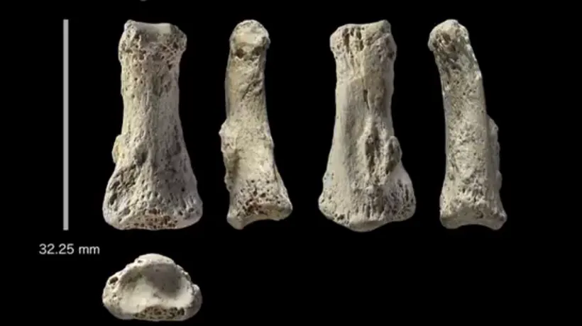 Descoperirea unei fosile vechi de 85.000 de ani ar putea rescrie istoria. „Acum avem dovada