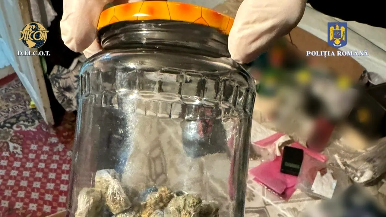 DIICOT, obligată să restituie unei familii de români canabisul confiscat. Ce s-a întâmplat, de fapt